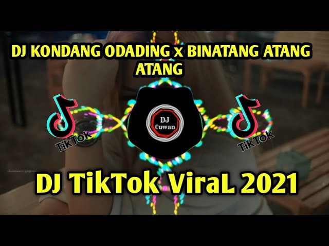 DJ ODADING x BINATANG ATANG VIRAL TIK TOK TERBARU 2021 class=