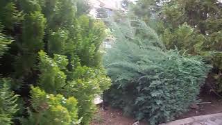 Vi̇llalar Adana 07 Mayıs 2022 Cumartesi