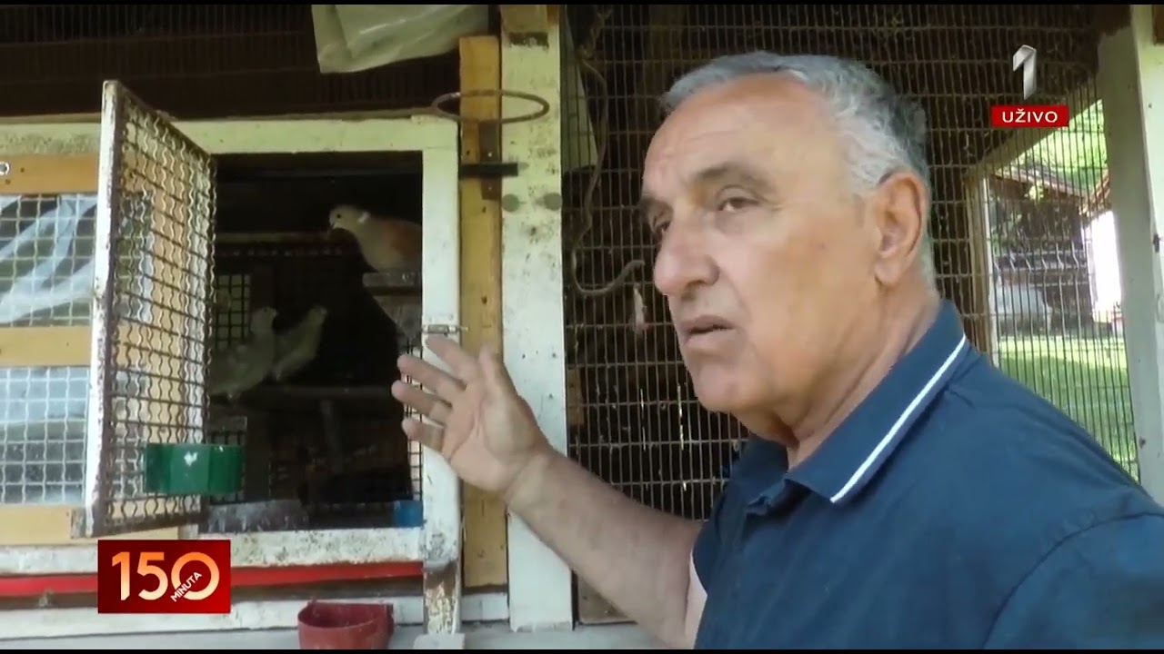 B92 - Retke vrste ptica pod planinom Jelicom