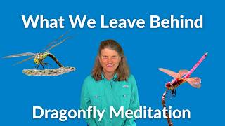 What we leave behind - Dragonfly Meditation