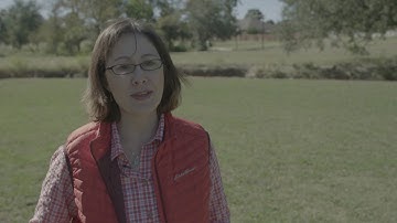 Easy Canvas Prints Celebrates Our Troops!