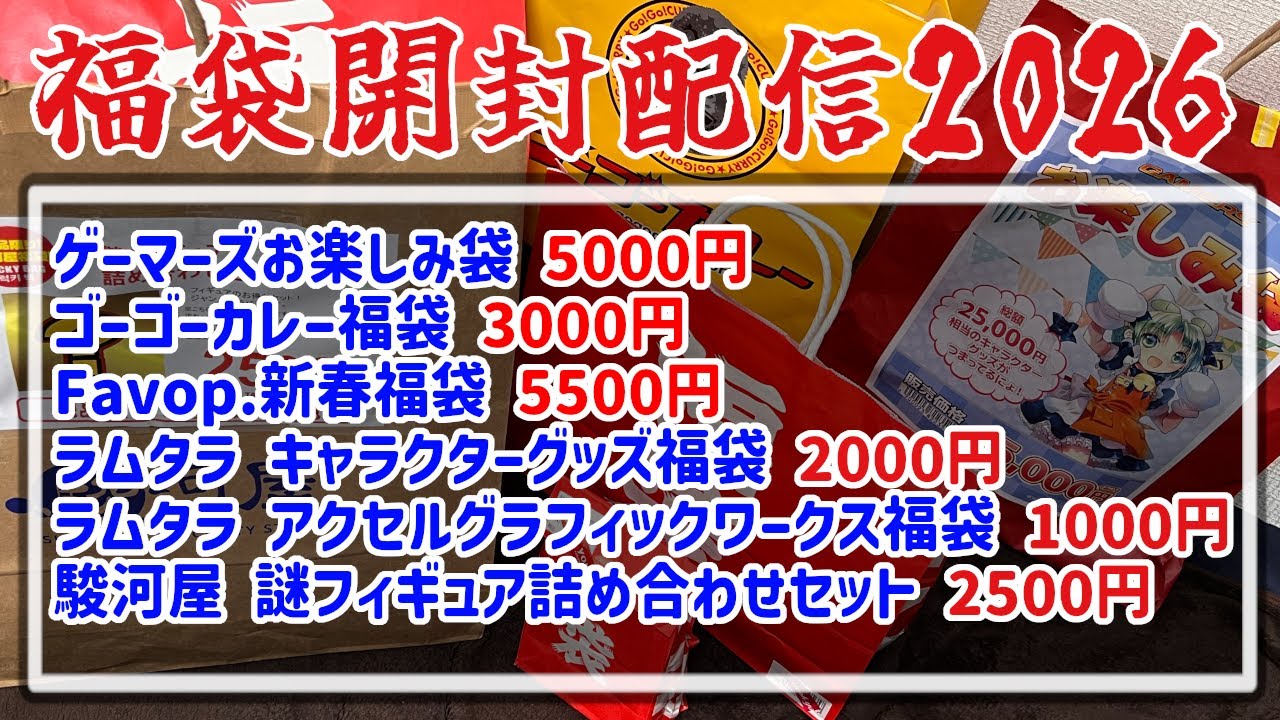 【開封配信】秋葉&新宿で買ったグッズ系&カレー福袋6個を一気に開封！