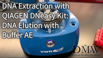 DNA Extraction with QIAGEN DNeasy Kit: DNA Elution with Buffer AE