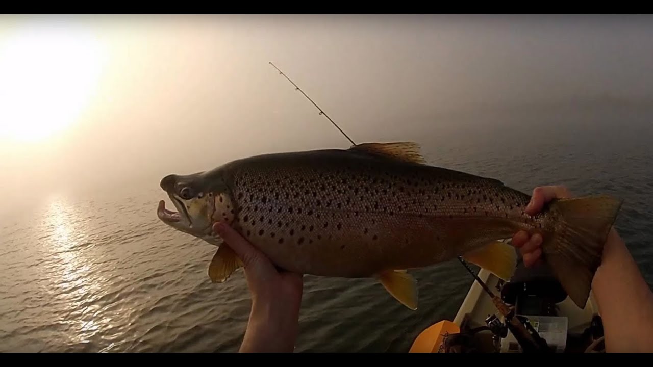 Kayak trout fishing Lake Ontario in the fog