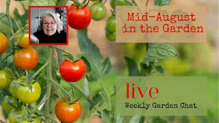 Mid-August in the garden LIVE!