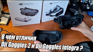 Размышления на тему отличий Dji Goggles 2 и Dji Goggles integra. Что купить?