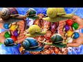 Hunting snail, catching snail, menemukan siput, bekicot, keong, kaki seribu, millipede, berpetualang