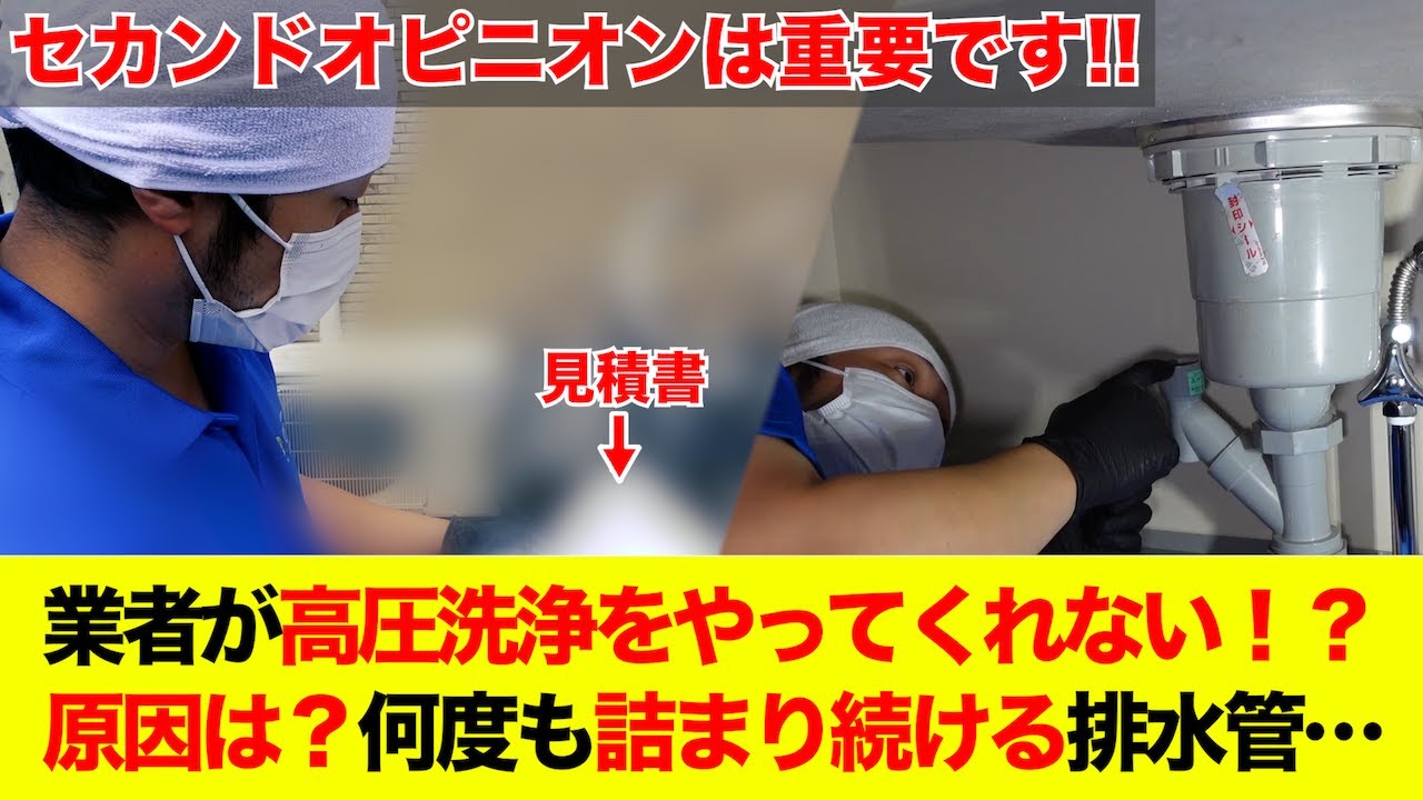 セカンドオピニオンは大事！まずは相談してみよう！【花のお掃除 #66】