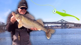AVOID the Lock and Dam...DO this INSTEAD! | Mississippi River Spring Walleye