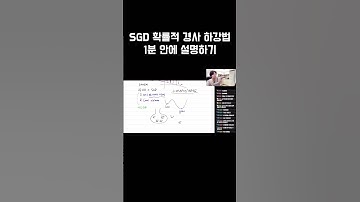SGD 설명 1분 컷
