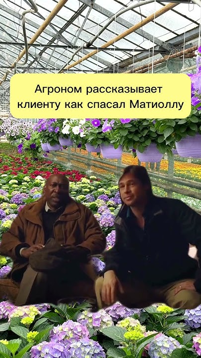 Спасем любое растение! Наши агрономы - скорая помощь для вашей рассады ...