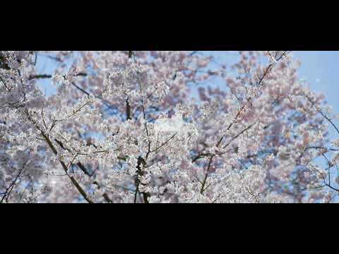 IA SHIKI TOKI UTA VOCALOID Lyrics