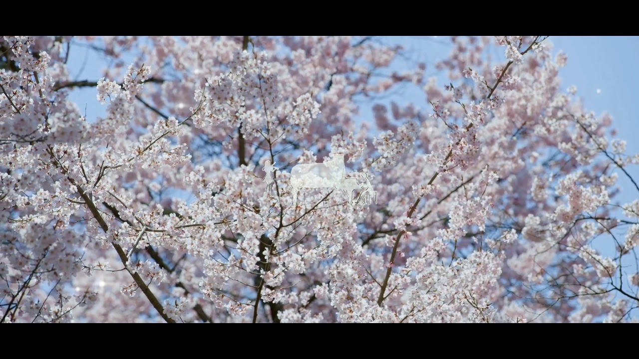 IA  |  SHIKI TOKI UTA  |  VOCALOID Lyrics