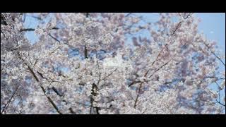 IA  |  SHIKI TOKI UTA  |  VOCALOID Lyrics