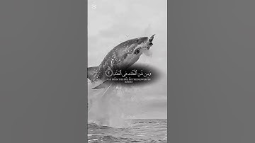 #سورة_الفلق #اكسبلور #المصحف #villagelife #ترند #الرحمن #القزابري #لايك #تيك_توك #الورقات