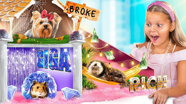 We're building secret rooms for pets! Poor vs. Rich vs. Mega-Rich Pets!