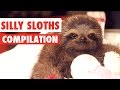 Silly sloths compilation 2017