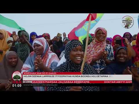 Barraaqa Gumacha OBN Irreechaaf