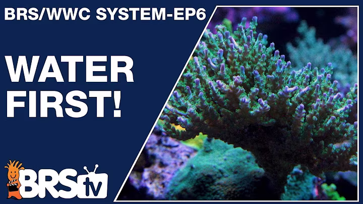 Ep6: A simple & stable reef tank starts with water! - The BRS/WWC System