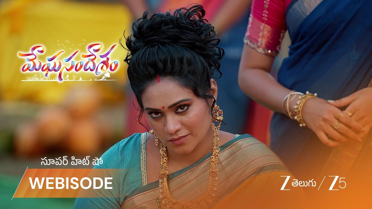 MEGHASANDESAM | గగన్ వెతుకుతూ ఉండగా భూమి ఎక్కడికి వెళ్ళింది?