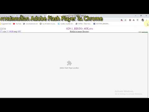 การปลดบล็อก Adobe Flash player ใน chrome