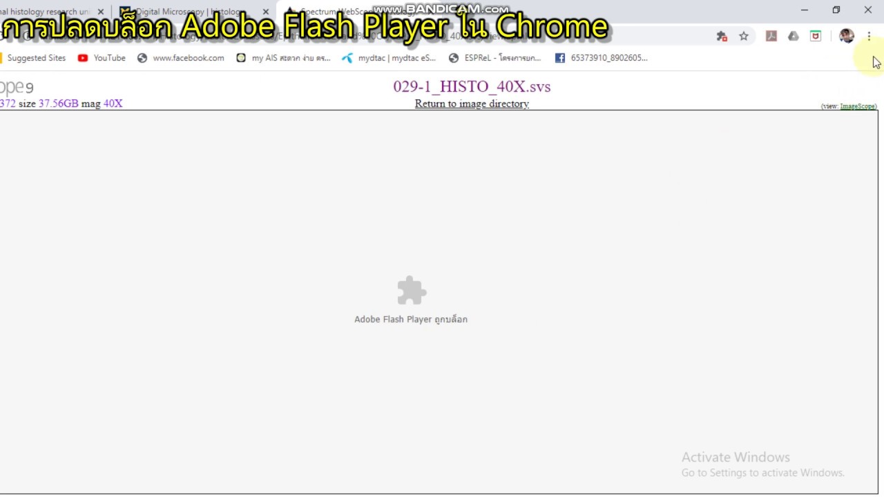การปลดบล็อก Adobe Flash player ใน chrome