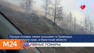 "Москва и мир": пожары в Забайкалье и теракты на Шри-Ланке - Москва 24 "Москва и мир": пожары в Забайкалье и теракты на Шри-Ланке - Москва 24