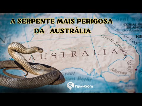 Cobra marrom: a mais peçonhenta da Austrália | Papo de Cobra