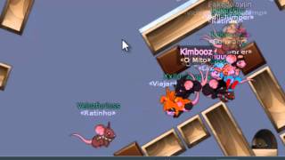 Zuando com os amigos #1