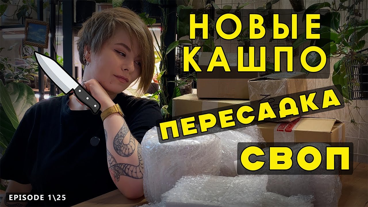 Распаковка Кашпо, Пересадка Растений и Своп в парке. [ВЛОГ]