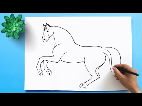 5 Animals Drawing Easy 💚 How to draw domestic Animals step by step easy -  YouTube