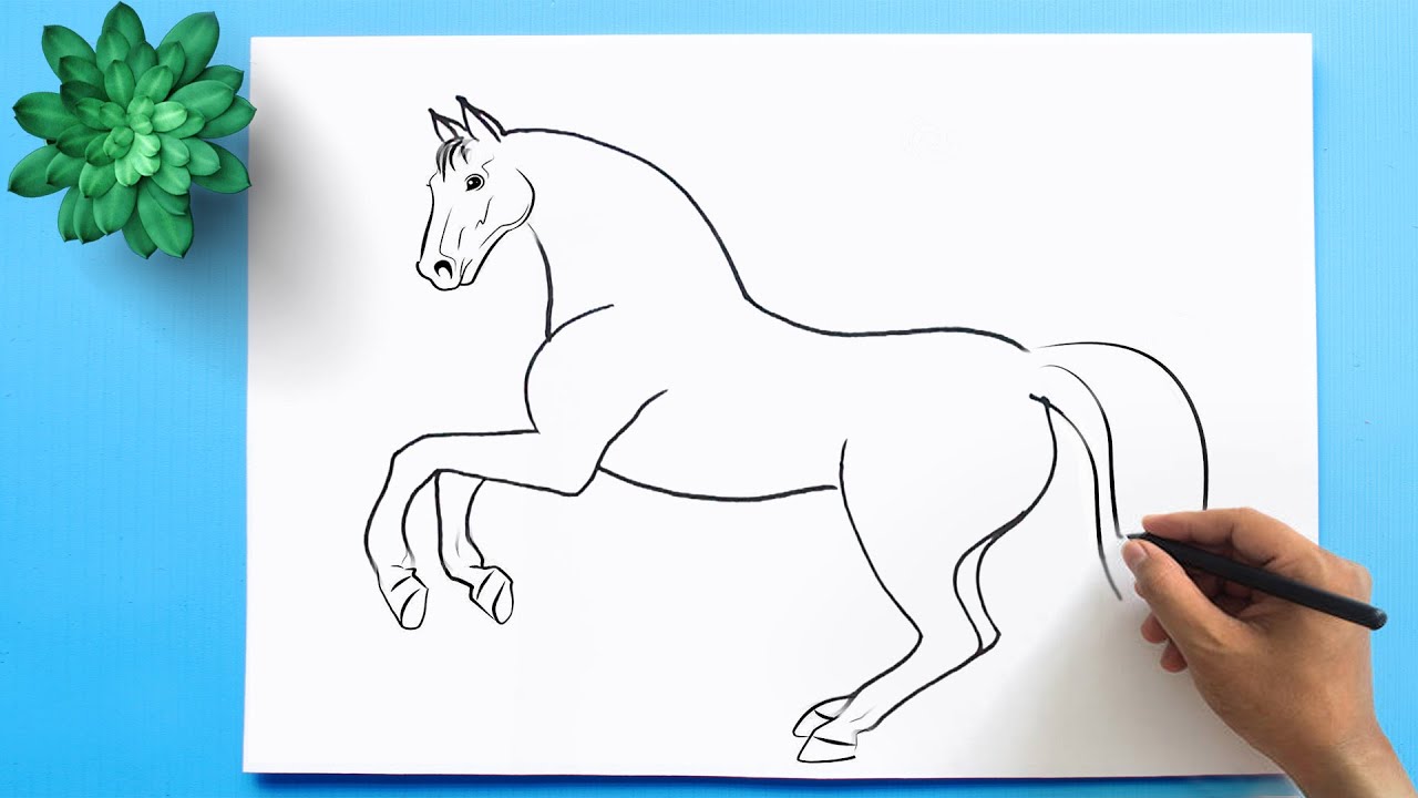 How to Draw a Horse 🐴 Horse Drawing Easy - YouTube