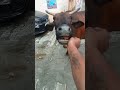 #cow