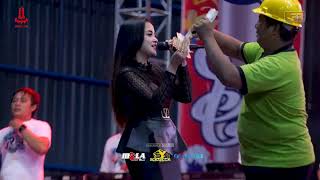 Download Lagu CAMELIA - ELSA DWI AMANDA - VRR MUSIC MP3