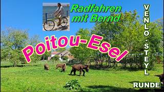 Venlo-Steyl Radtour - Poitou-Esel - Nordkanal - Mammutbäume