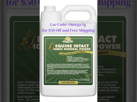 Equine Intact from Impact Fusion International stock ifus ehv1 Equine Herpes Decreaser
