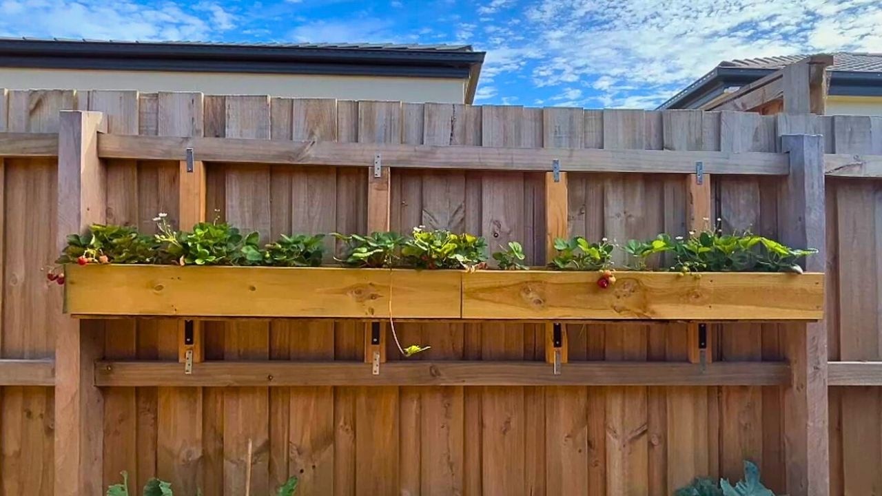 Your Fence Is A Wasted Garden