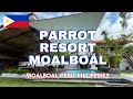 Parrot resort moalboal in cebu philippines