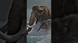 The Last Mammoth Part 2 🦣  #shortfilm #heroictales #shorts