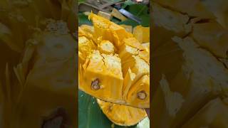 Manfaat buah nangka untuk kesehatan #manfaatnangka #nangka
