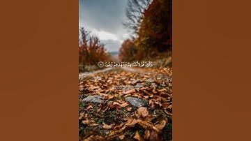 قَدْ أَفْلَحَ الْمُؤْمِنُونَ || قرآن كريم بصوت جميل ، سورة المؤمنون ، ياسر الدوسري.