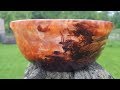 Fragmented Choke Cherry  Bowl and Resin