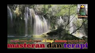 terapi suara air terjun di iringi suara tengkek buto//mastera dan terapi burung juara