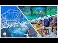 Hakkeijima sea paradise Хаккейджима сипарадайс тема-парк, аттракционы , аквариум
