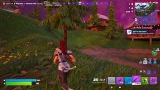 Fortnite Lock On AR