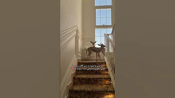 حدثيني ياحبيبه يامنى القلب ونصيبه Like بدون موسيقى اكسبلور 