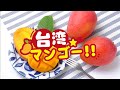 【台湾マンゴー】今が旬！甘さが違う！！美味しい台湾産マンゴー