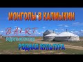 Монголы в Калмыкии, как они живут?