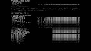 Installing Gnulinux Arch P2