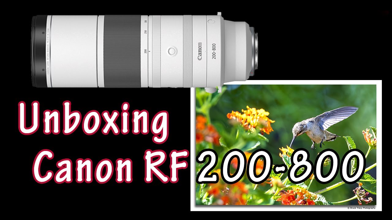 Moon and Birds with the Canon RF 200-800 6.3-9 IS USM